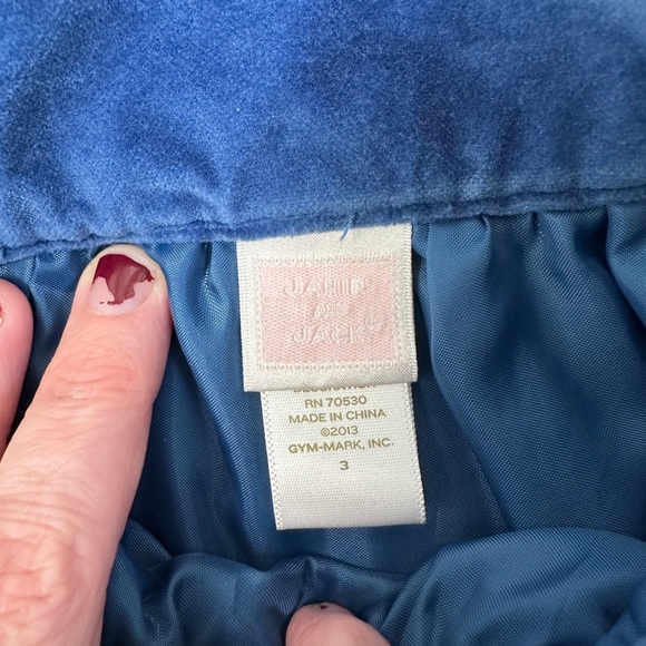 JANIE AND JACK 3T Blue Velvet Skirt Embroidered Floral Side Zip Dressy - Picture 4 of 7